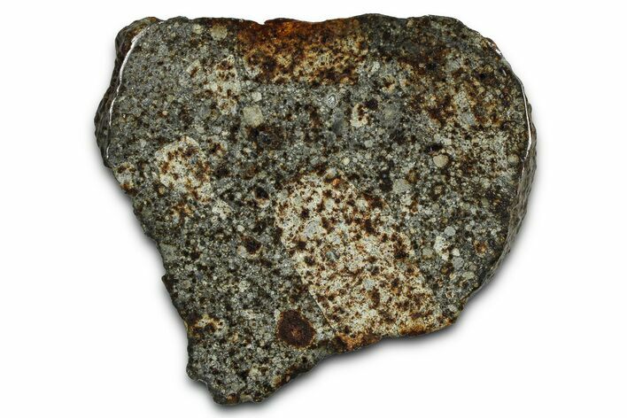 Chondrite Meteorite Section ( g) - NWA #378823
